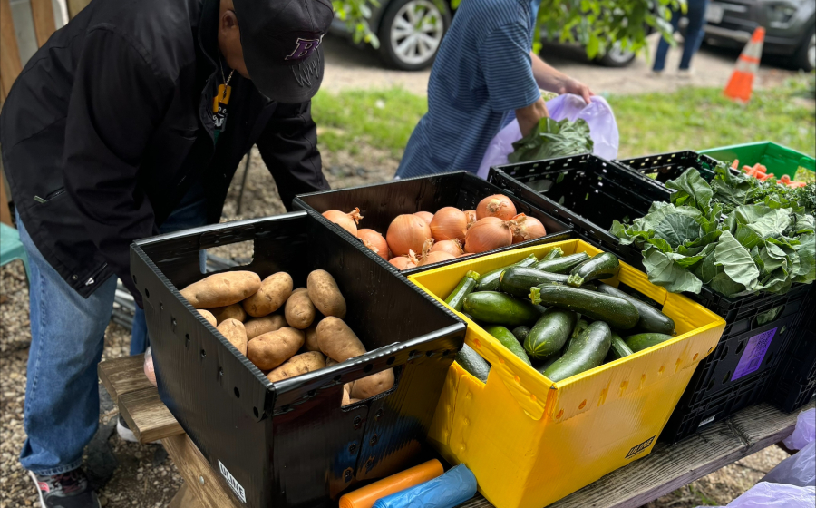Farmers preparing food distribution.
