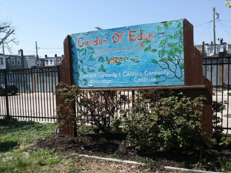 garden